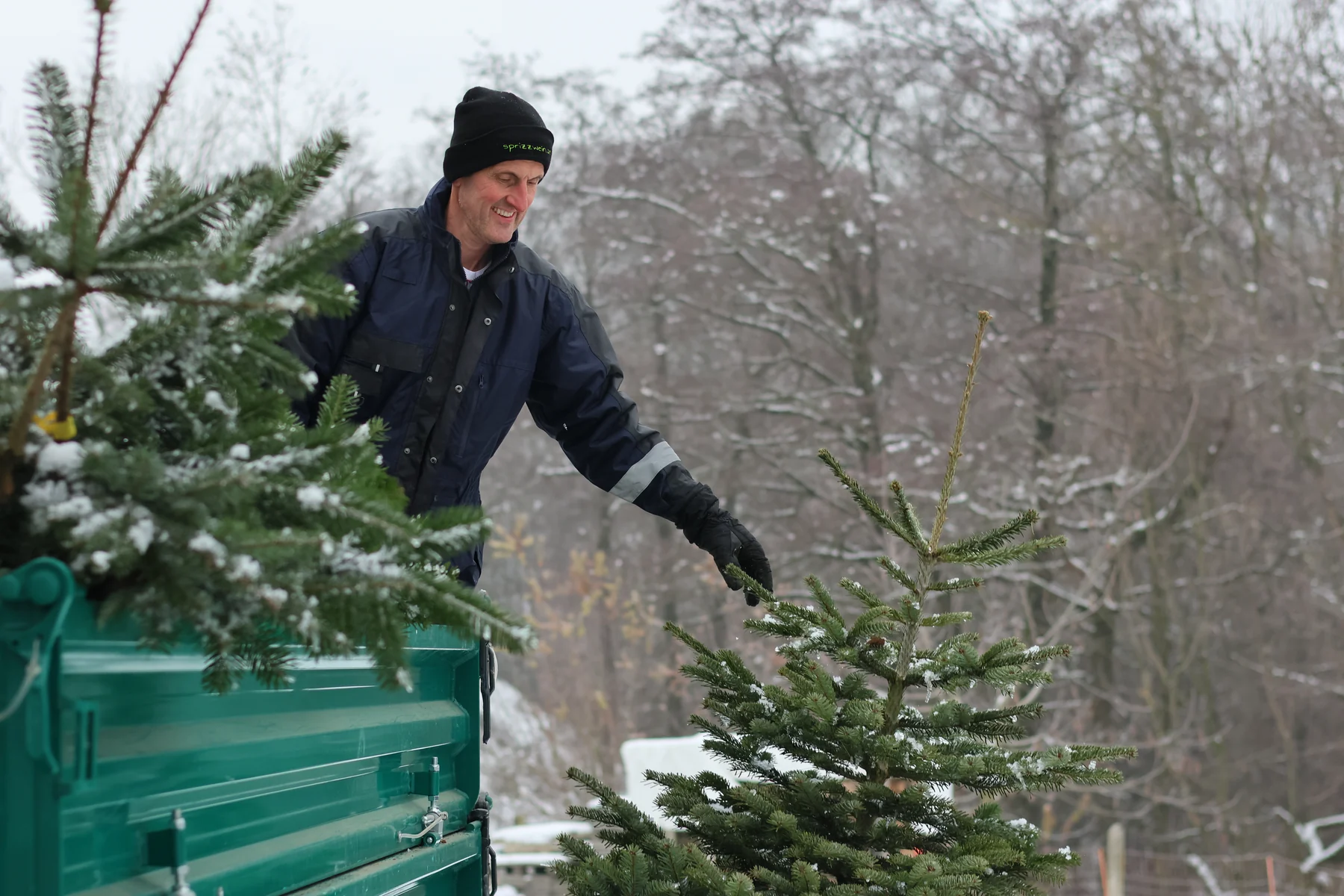 Christbäume werden im Schnee auf einen Anhänger geladen